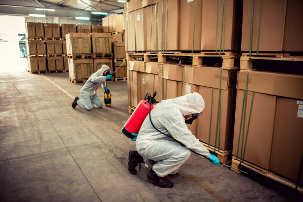 Wildlife Control Services in New Hackensack, NY
