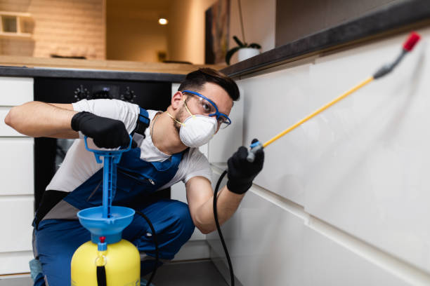 Best Affordable Pest Control Services  in New Hackensack, NY