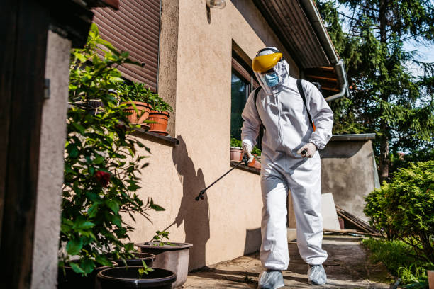  New Hackensack, NY Pest Control Pros