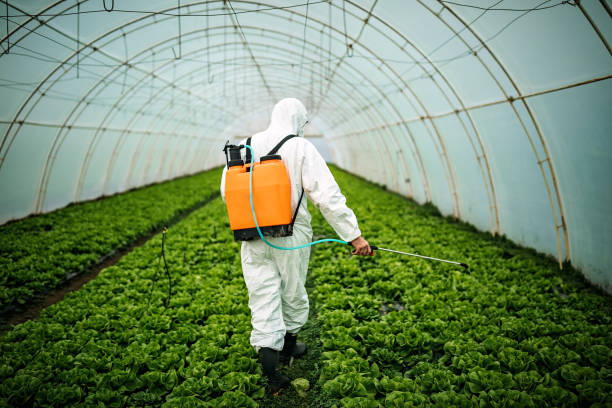 Best Local Pest Control Services  in New Hackensack, NY