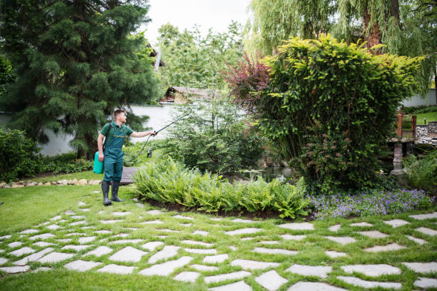 Best Best Pest Control Companies  in New Hackensack, NY