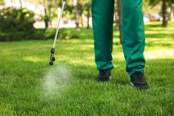 Best Insect Control  in New Hackensack, NY