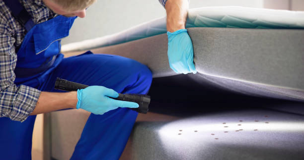 Best Pest Inspection Near Me  in New Hackensack, NY